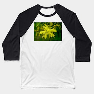 Wattle Flower Burst Baseball T-Shirt